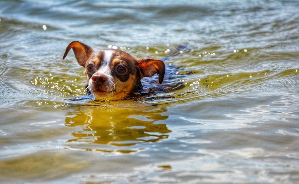 Quels sont les meilleurs treks pour les débutants ?