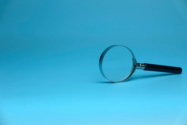 Où vivre une expérience de safari urbain ?