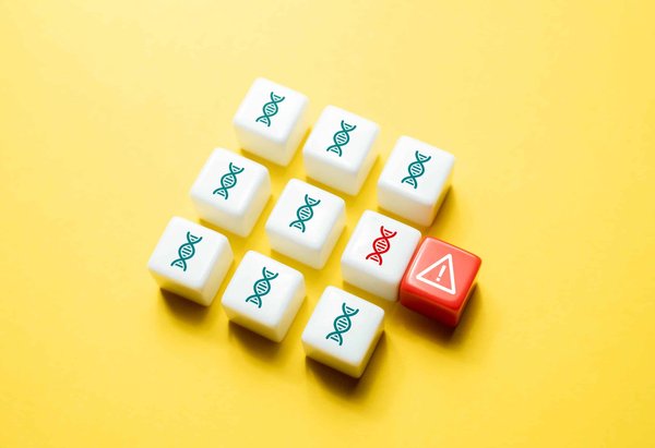 Comment identifier les oiseaux sauvages en camping et devenir un ornithologue amateur ?