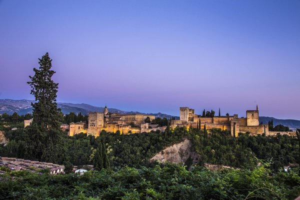 Croisières dans les îles de la mer de Chine méridionale : Plongée avec les requins-baleines